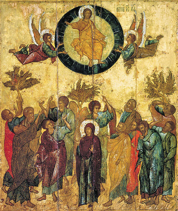 ascension-ic-rus-s15-in