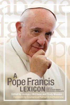 Pope Francis lexicon